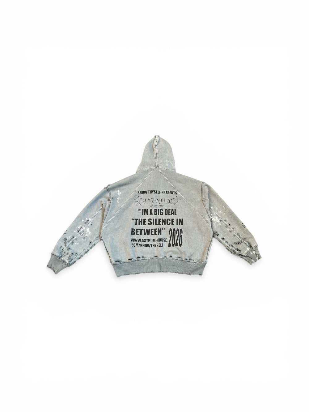 ASTRUM KNOW THYSELF HOODIE SEA MOSS