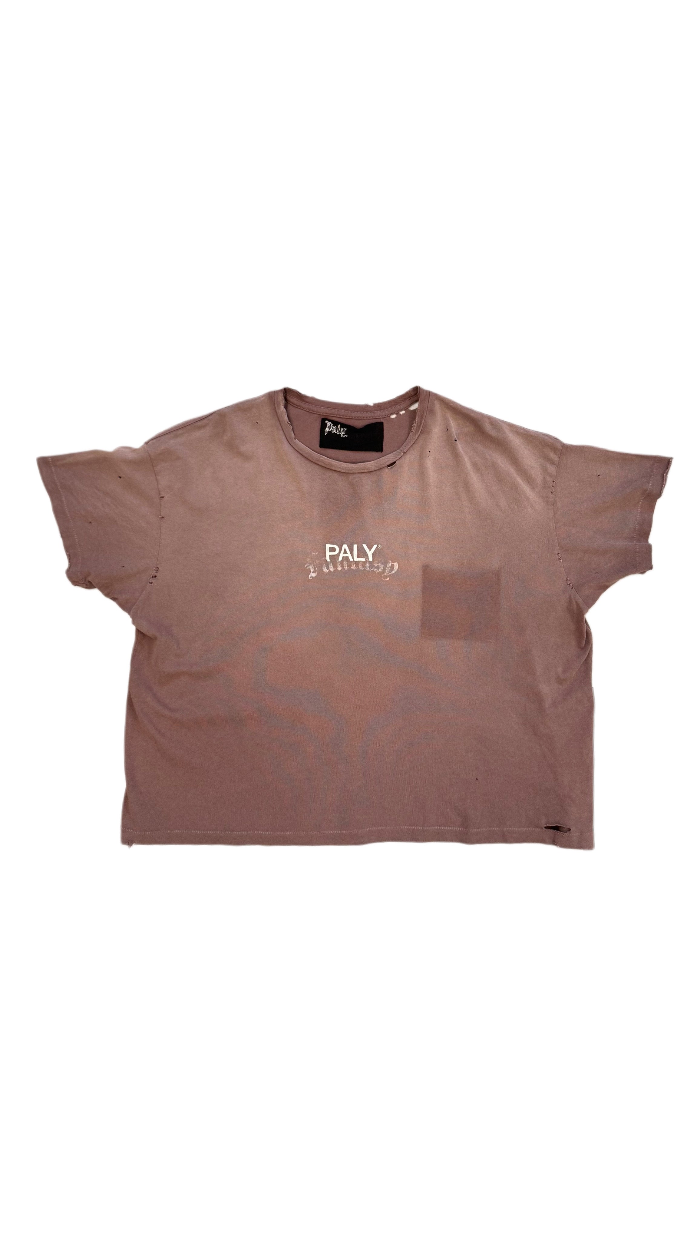 Paly Core Logo Tee Brown