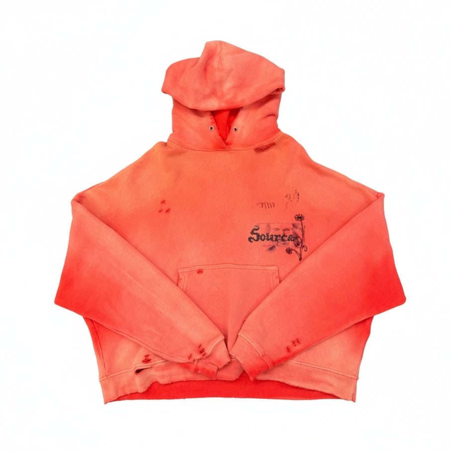 Paly Source Family Hooded Sweatshirt Red