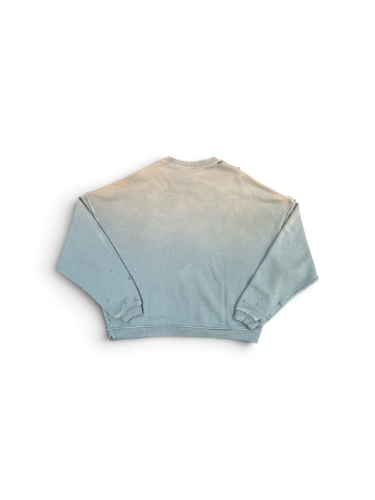 PALY STILL LIFE CREWNECK BLUE