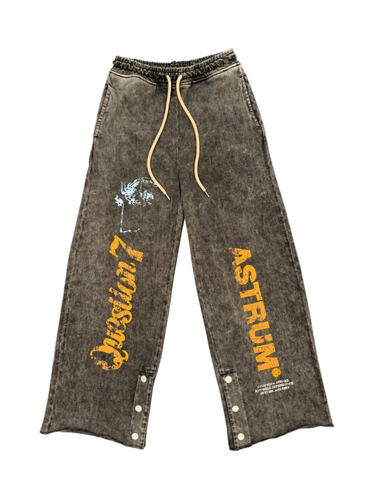 ASTRUM QUESTION 7 SWEATPANT - WASHED GREY