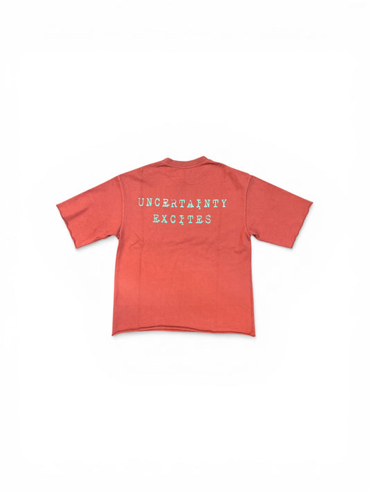 ASTRUM UNCERTAINTY TEE BURGUNDY